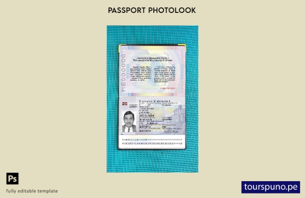 Listo para imprimir la plantilla de aspecto fotográfico actual del pase de Ucran